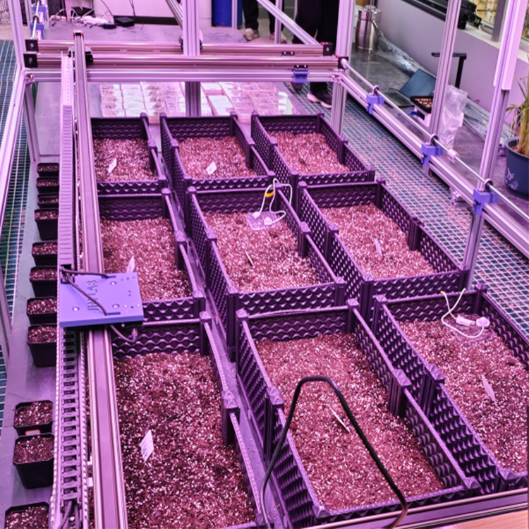 人工氣候室植物表型監測系統TPN-PlantPhy