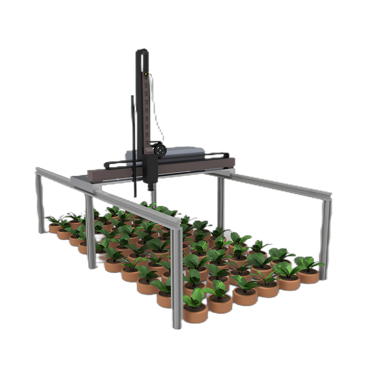 龍門式高通量表型采集分析平臺（立柱式）