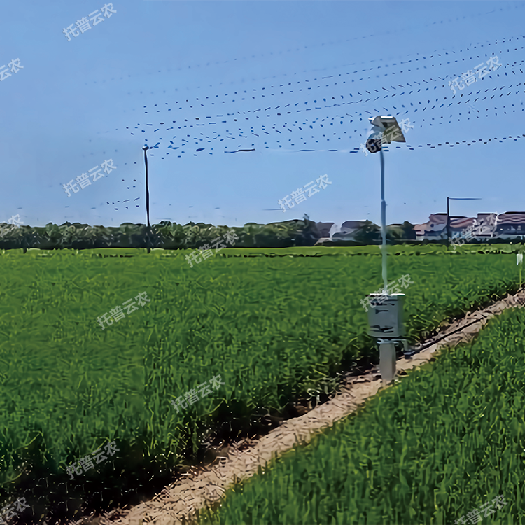 TP-GESB2.0自動趕蛾智能統計桿