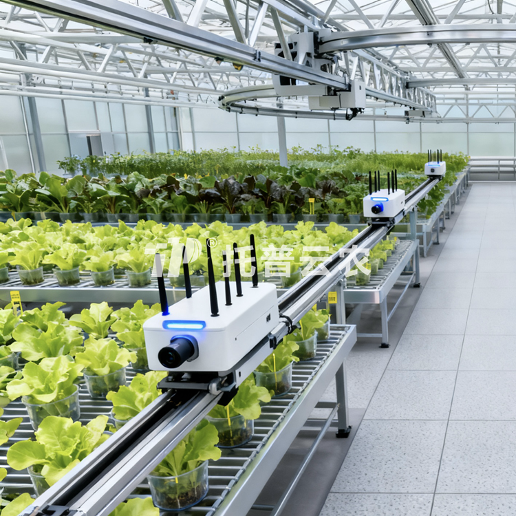 溫室巡軌式表型采集分析系統