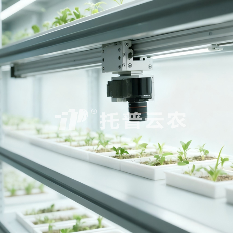 室內種子萌發(fā)表型監(jiān)測系統(tǒng)