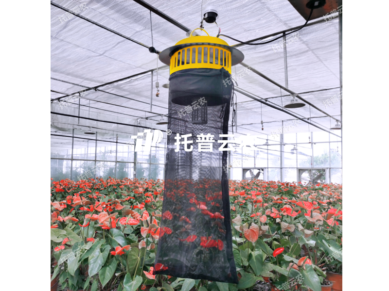 61d0c3120c3494d33dc2c249270d189b_1717489587662688.png